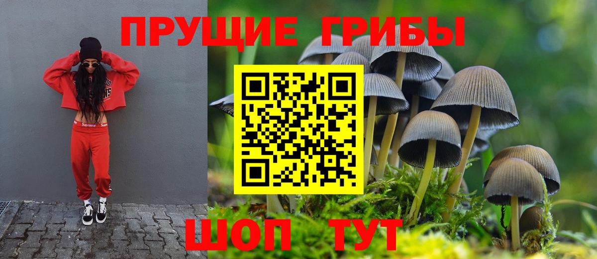 Галлюциногенные грибы Magic Shrooms  Вход с VPN  Великий Устюг  Галлюциногенные грибы MAGIC MUSHROOMS 